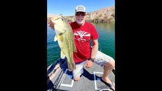 Fish Report July, 15 Lake Mohave / Willow Beach / Colorado River