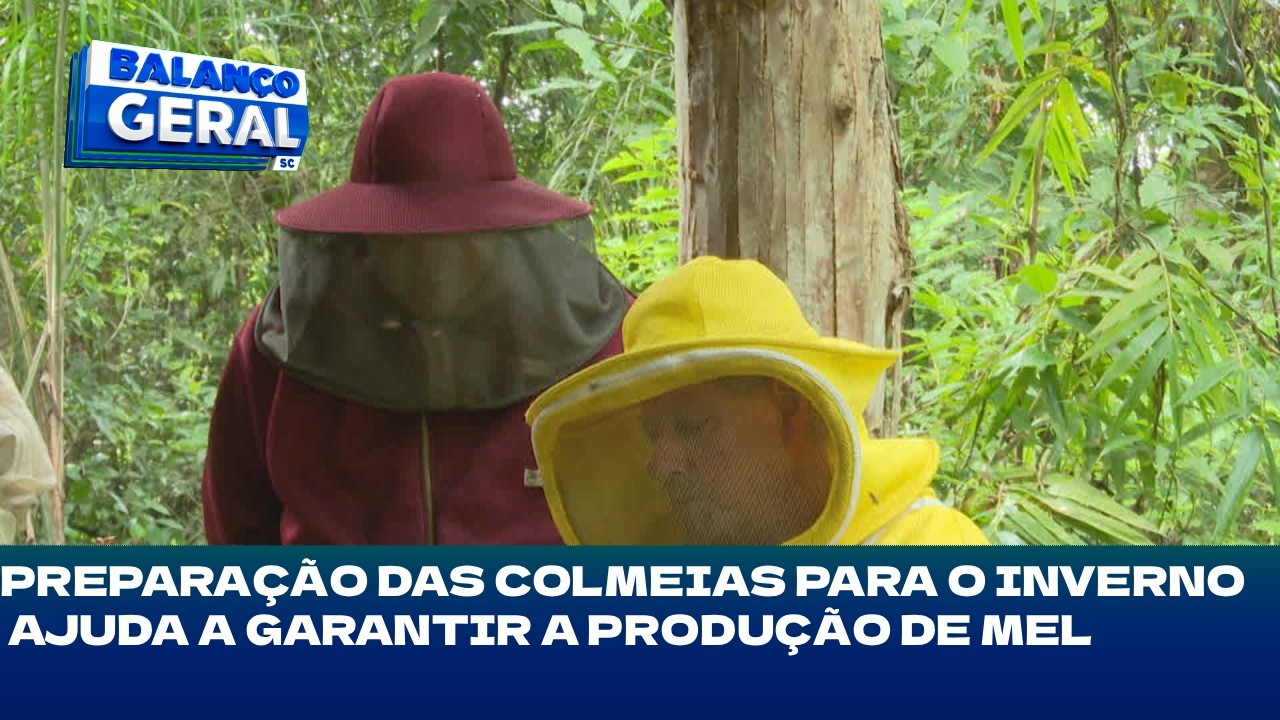 Apicultura: preparação das colmeias para o inverno ajuda garantir a produção de mel