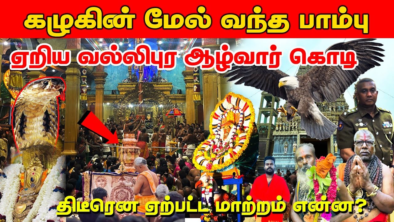 ஏறிய வல்லிபுர ஆழ்வார் கொடி / பொலிசின் செயல் / கழுகின் மேல் பாம்பு 