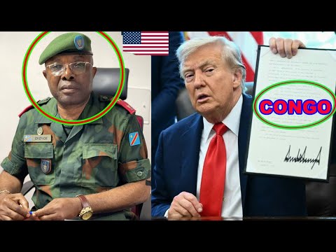 The Journey of Caring for My Best Friend: Minh Personally Cooks Pigeon Porridge for Lam