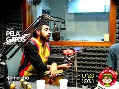 Kameleba - Reggae en PelaGatos - Cartas viejas