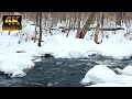 Snowy Mountain Stream Scenes 1 min nature short video to rest &amp; meditate.  Shot on Sony Rx100 vii.