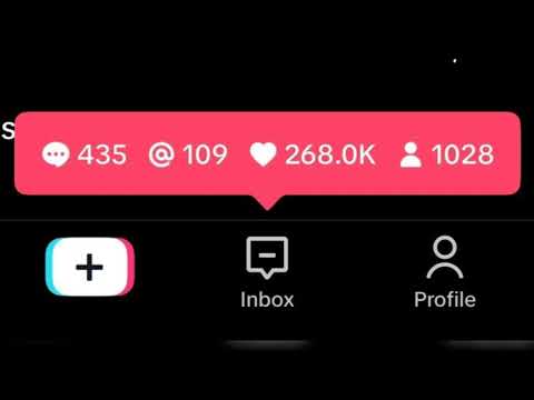 Littletastey TikTok Fame Explored