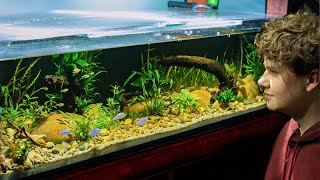 I Made a River Aquarium for some Unique Fish