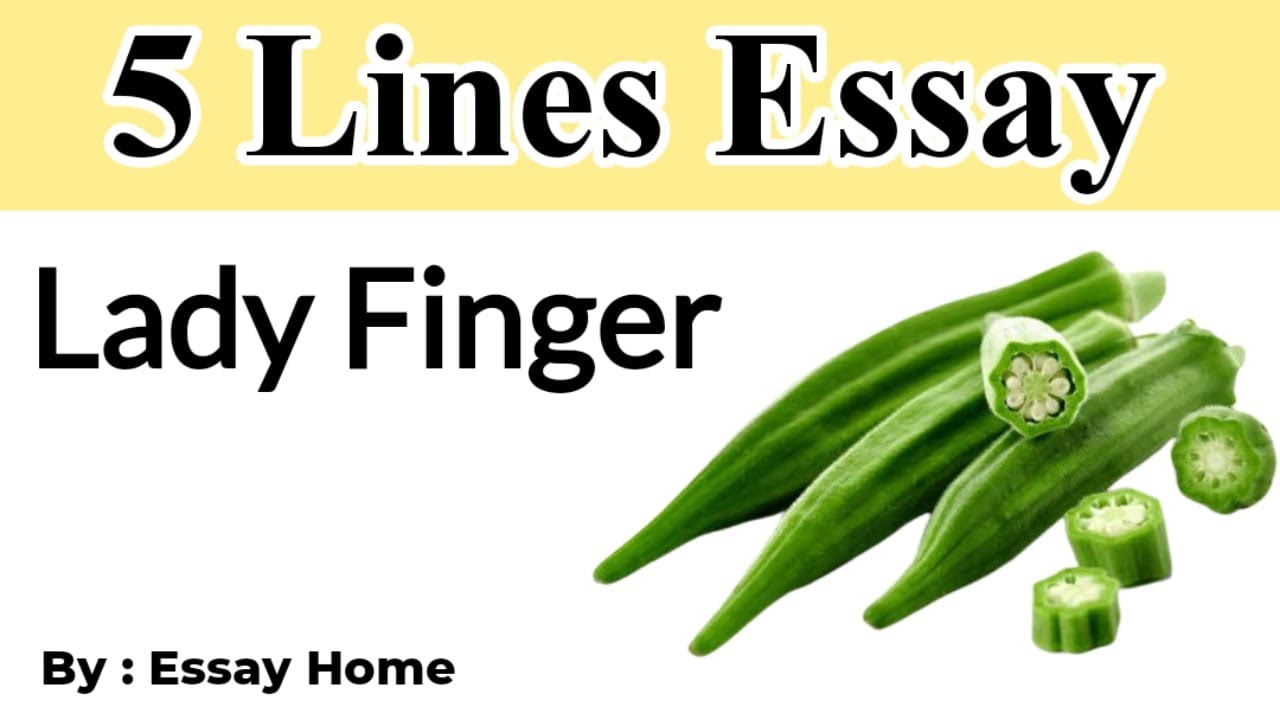 essay on lady finger in hindi