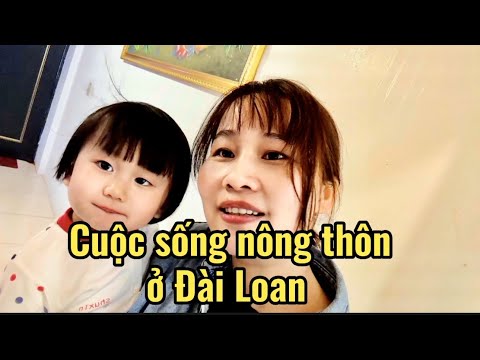 Video CUỘC SỐNG NÔNG THÔN Ở ĐÀI LOAN [1] - youtube