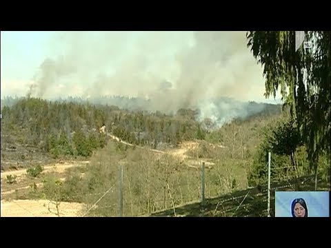 ხანძარი გურიაში