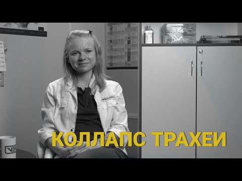 Коллапс трахеи