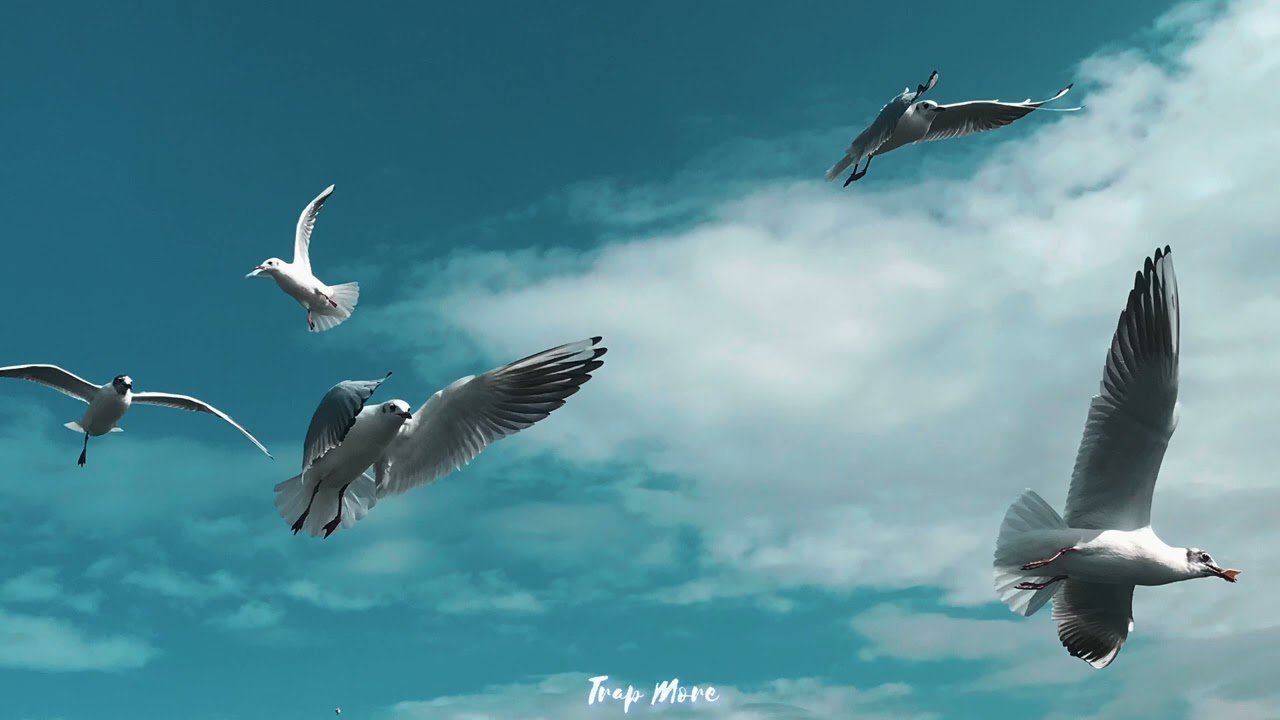 Dayy Einy - ضى عينى (Slowed & Reverb) prod.Wilsh “Trap More”