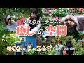 【素晴らしきガーデニング】癒しの空間・人気のガーデニング（サロン・ド・エムズ　Open garden）