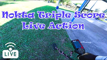 Nokta Triple Score Live Action