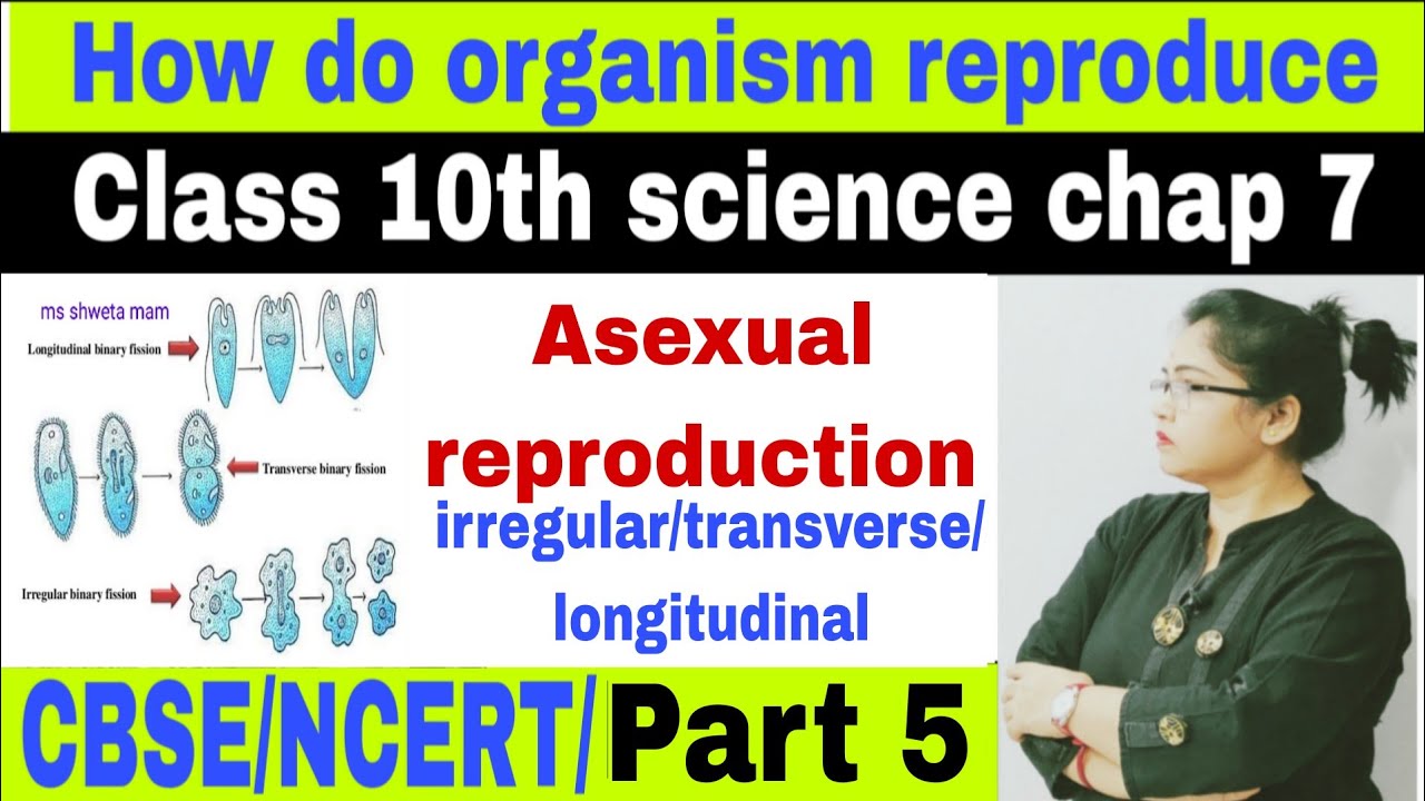 Asexual reproduction n it's types|class 10 chap 7 