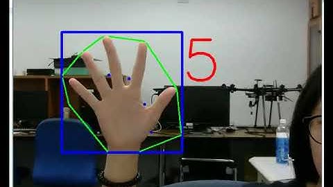 Hand Gesture Detection by Image Processing