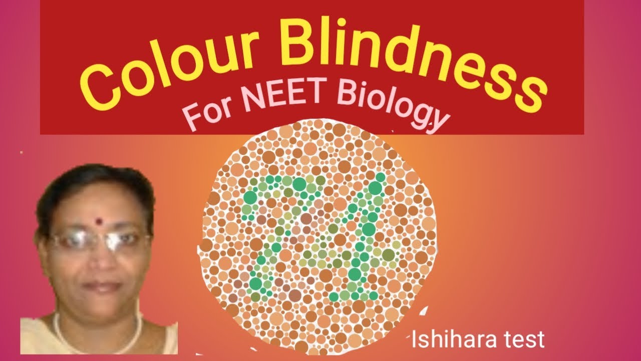 Colour Blindness //Mendelian disorder YouTube