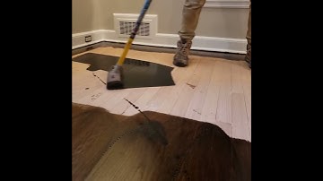 Hardwood floors Refinishing Applying Stain