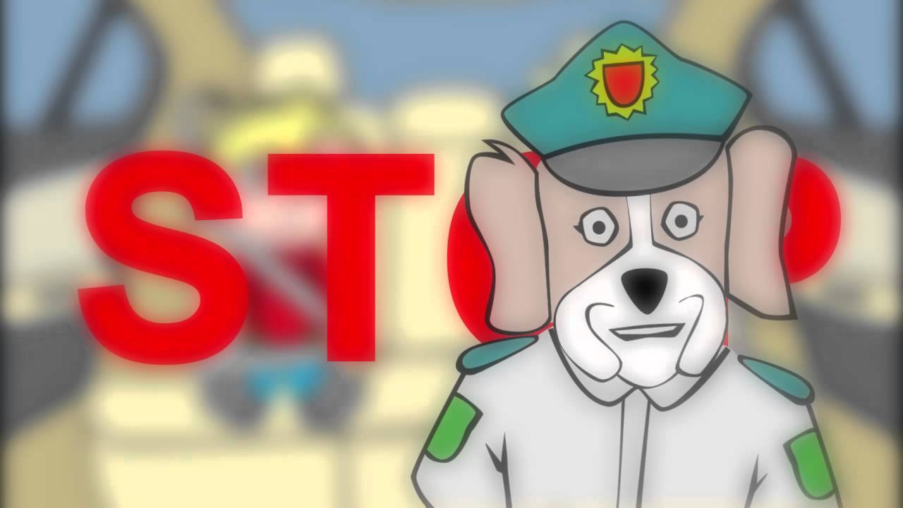 Amsis - Segėkite saugos diržus.