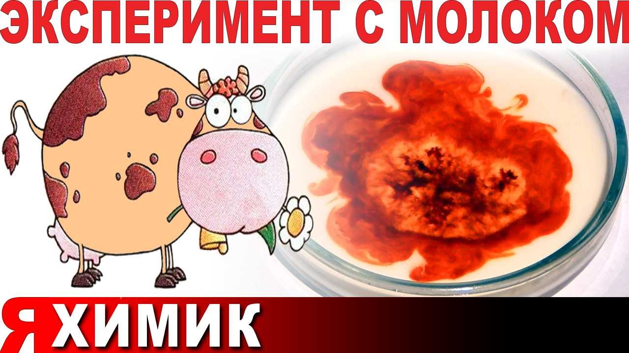 опыты с молоком. опыты с молоком для детей. опыт цвет воды. опыты с молоком. опыты с молоком для детей средней группы.