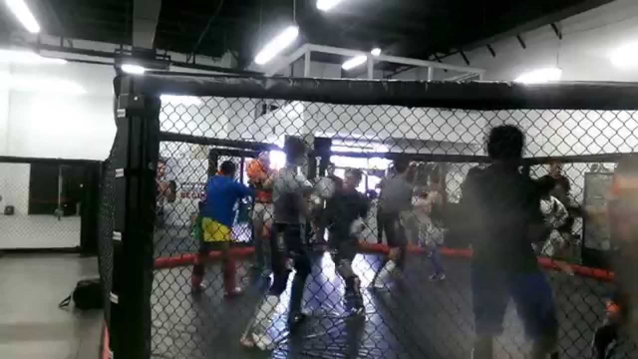 MMA Sparring
