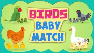 Top List 10+ Bird Baby Names 2022: Should Read