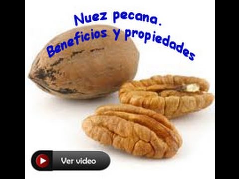 Video: Se están comiendo pecanas: aprenda sobre las plagas que comen pecanas