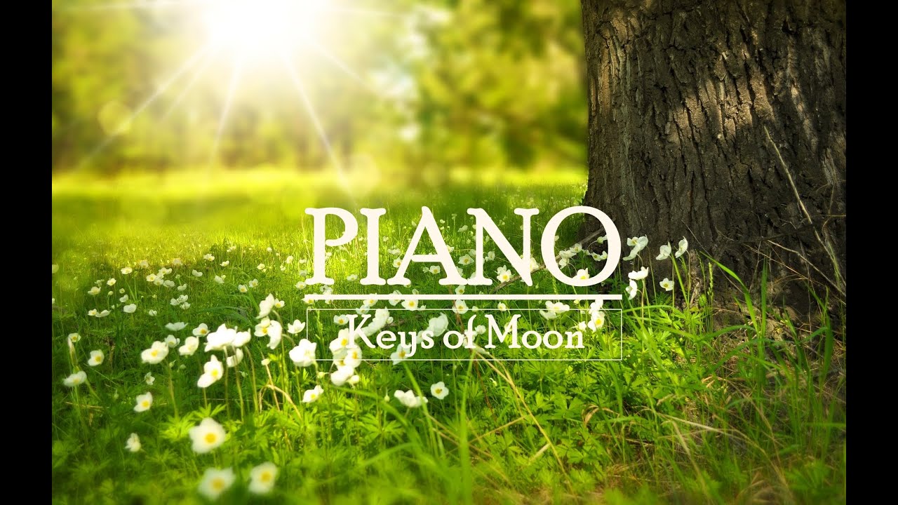 Dreamy - Soft Piano and Strings [FREE DOWNLOAD]