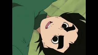 Sports Performance Rock lee uses primary lotus
