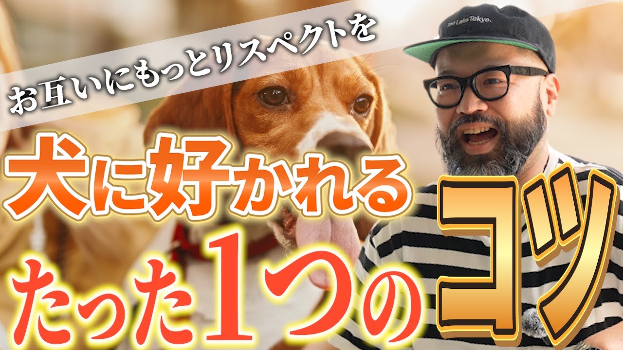 【犬のしつけ】その行為が犬に嫌われる原因になっているかもしれません。ドッグトレーナーが考える犬との関係性を語ります。