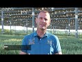 Chez sylvain raison le bl pousse sous une canope agricole  reportage de la france agricole