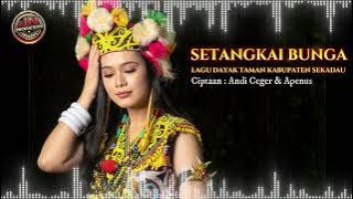 SETANGKAI BUNGA, LAGU DAYAK TAMAN SEKADAU  ( COVER )