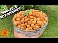 CROQUETTES AUX ARACHIDE / MERVEILLE AUX ARACHIDE / COATED PEANUTS / PEANUT BURGER