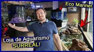 Visitei uma das maiores Lojas de AQUARISMO do Brasil!  Eco Marine