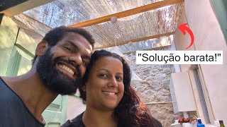 Melhorias no telhado transparente, apareceram 4 gatos e muito mais!
