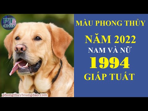 1994 Hợp Màu Gì - Màu Hợp với Nam Và Nữ Tuổi Giáp Tuất 1994 Trong Năm 2022 | Phong Thủy Hoàng Đạo