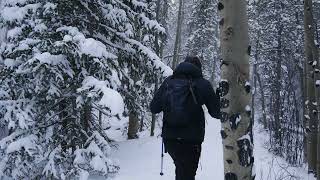 Georgetown Snowshoe in January Storm