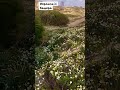 Израиль🇮🇱 Хадера #море #путешествия #поход #hiking #пляж #скала #природа #nature #sea #прогулка #liv