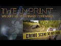 Gfjc  the imprint  veterinary forensics vs wildlife forensics