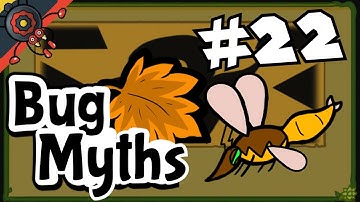 Bug Fables Myth #22: Yo Mama