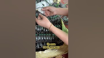 Cạm 9 đánh chuột đồng chuột thịt siêu hiệu quả
