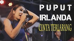 ISTIMEWAHH nya Lagu CINTA TERLARANG jika dibawakan PUPUT TIFFISYA Bareng IRLANDA  - Durasi: 8:42. 