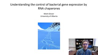 CNS8: Mark Glover – Understanding the Control of Bacterial Gene Expression by RNA Chaperones