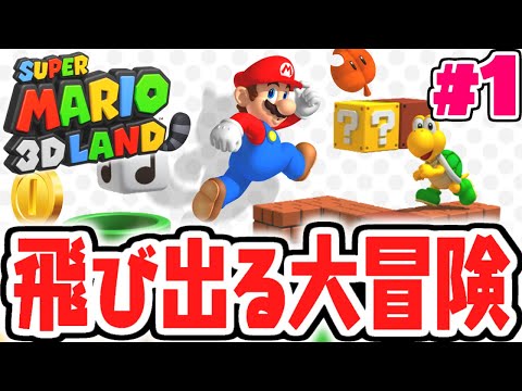 3DSでしか遊べない神作品!!とびだすマリオが大冒険!?とびだす実況Part1【スーパーマリオ3Dランド】