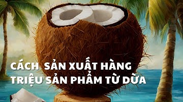Cách Sản Xuất Hàng Triệu Sản Phẩm Từ Dừa - Nhà Máy Xơ Dừa, Mụn Dừa, Kem Dừa, Bột Dừa