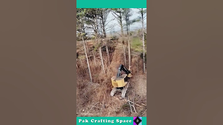 The Act Of Uprooting A Tree With A Crane