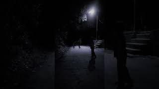 पीछे देखो जल्दी भागो !!🐺🐺 wolf at night #wolf #wolfsound #relaxinwolf #trending #shorts