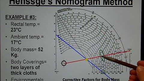 The Forensic Teacher:  Henssge