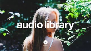 Venusian – LEMMiNO (No Copyright Music) Update
