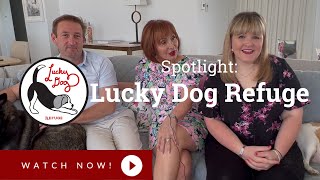 Lucky Dog Refuge - A Safe Haven for the Abandoned by Canine Company 98 views 1 year ago 6 minutes, 6 seconds