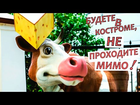 #vlog Путешествия по России. КОСТРОМА: СЫРНАЯ БИРЖА Сырная биржа Что посмотреть
