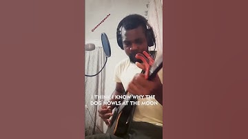 Thumbnail of Dela - Johnny Clegg #music #cover #johnnyclegg #southafrica #music #africa africa