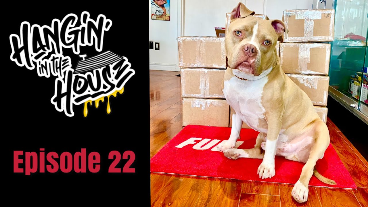 Hangin’ In The House - Episode 22 (A Day In The Life Of A Heady Glass Shop)